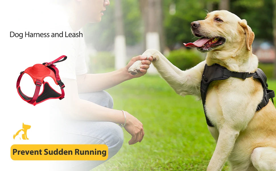 ATUBAN 2-in-1 No-Pull Dog Harness – Self-Shrinking Leash with Auto-Lock for Training