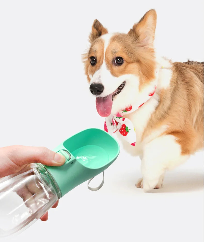 Portable Pet Water Bottle – Travel Kettle for Cats & Dogs